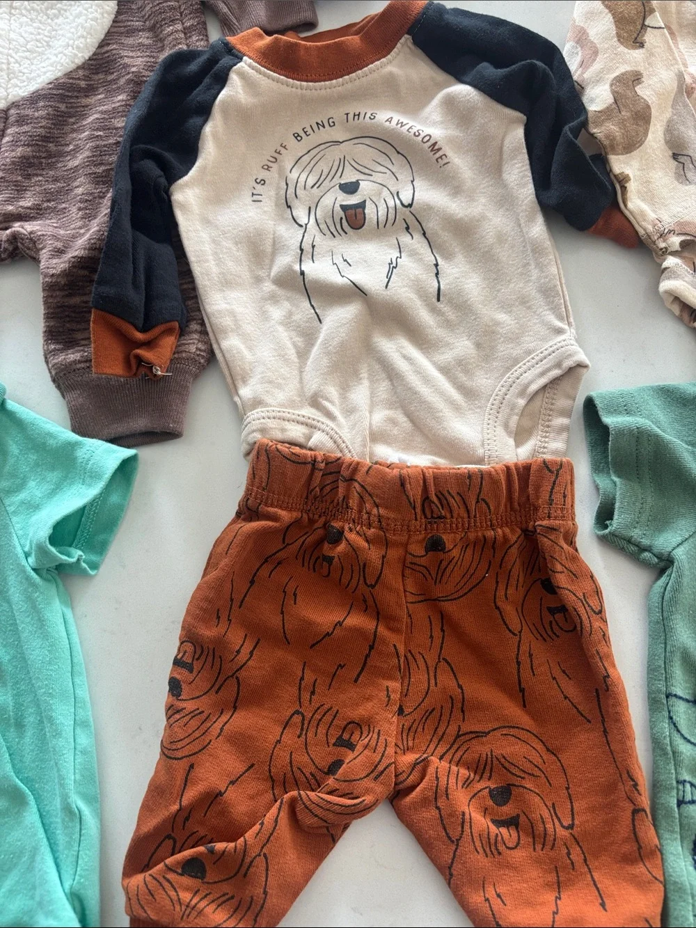 Carters adorable brown